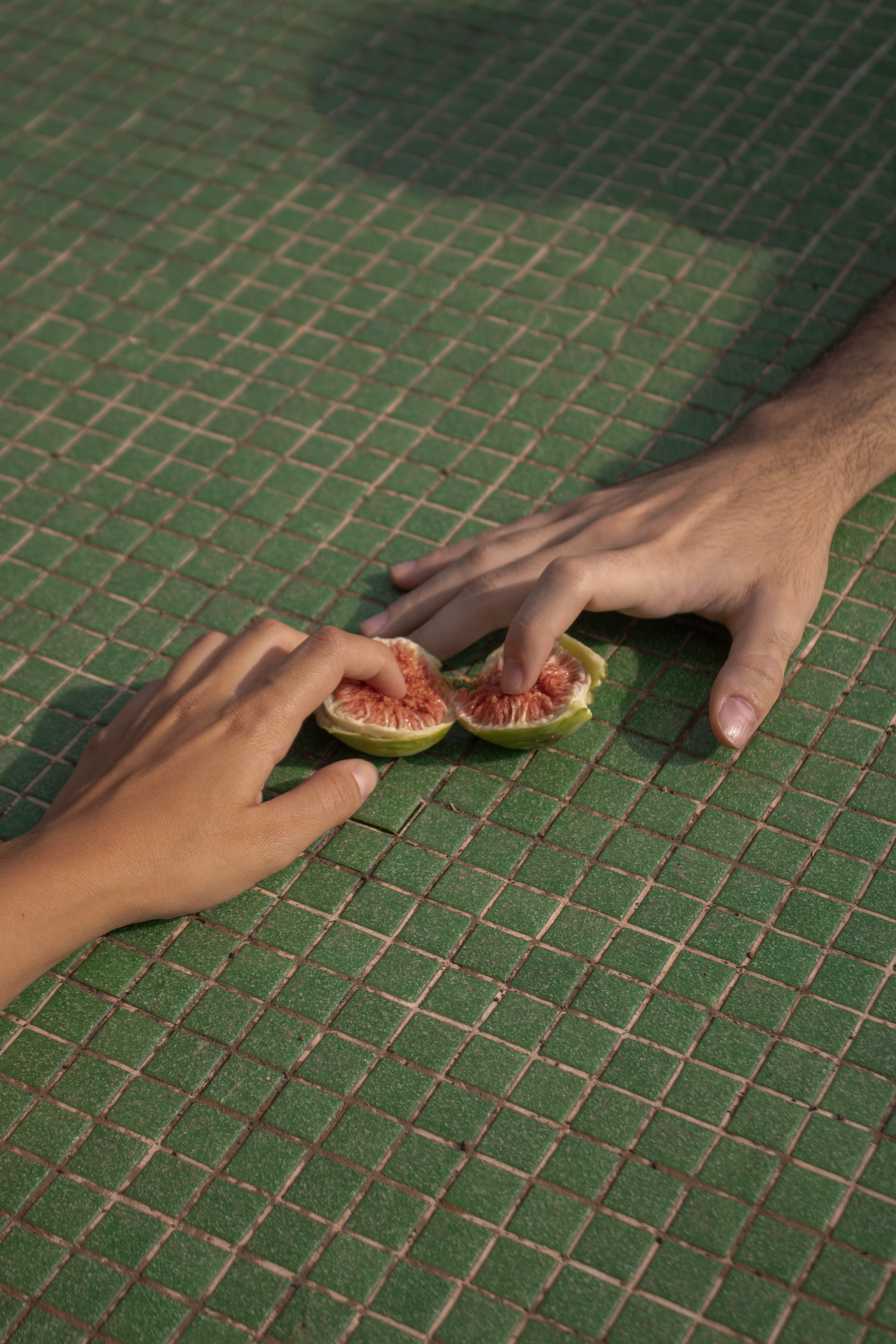 Principi fondamentali, immagine 10